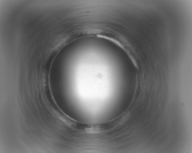 X0000082150362200701262314