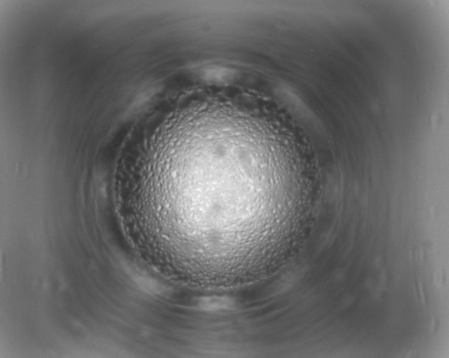 X0000082150363200701262314