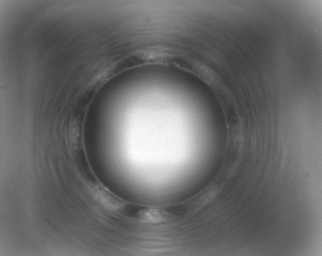 X0000082150372200701262314