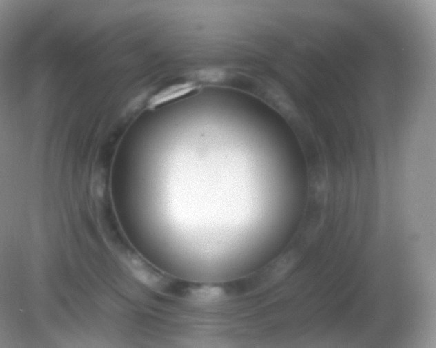 X0000082150374200701262314