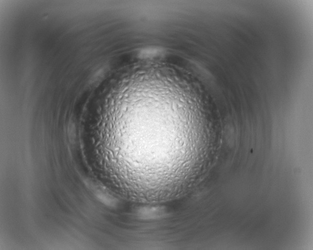 X0000082150375200701262314