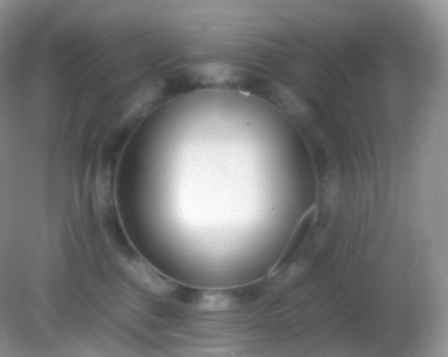 X0000082150376200701262314
