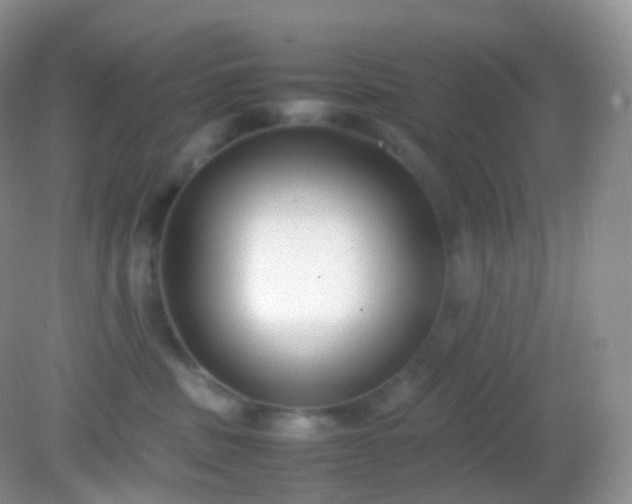 X0000082150379200701262315