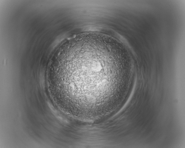X0000082150386200701262314