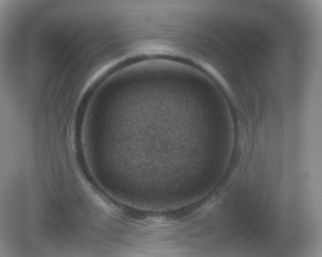 X0000082150391200701262314
