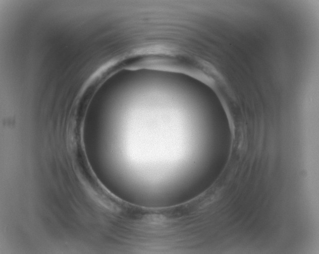 X0000082150392200701262314