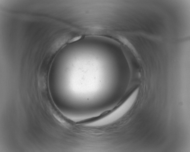 X0000082150393200701262314