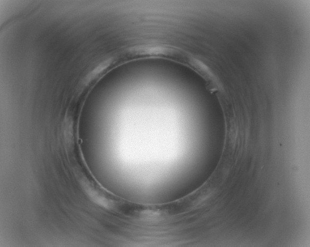 X0000082150394200701262314