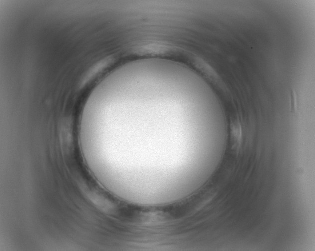 X0000082150396200701262314