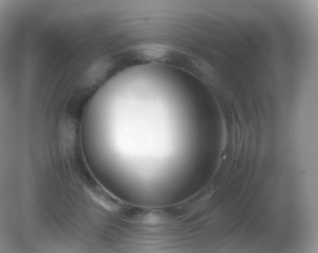 X0000082150412200701262313