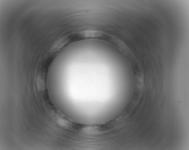X0000082150422200701262313