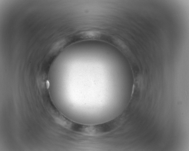 X0000082150423200701262313