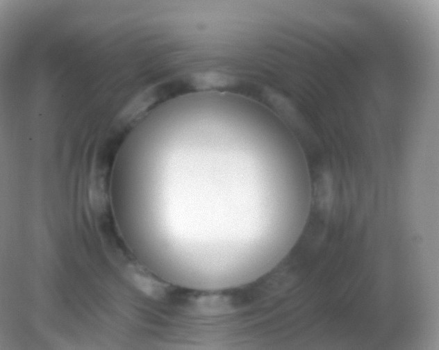 X0000082150426200701262313