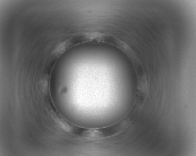 X0000082150427200701262313