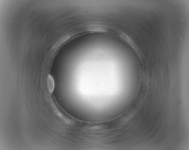 X0000082150433200701262312