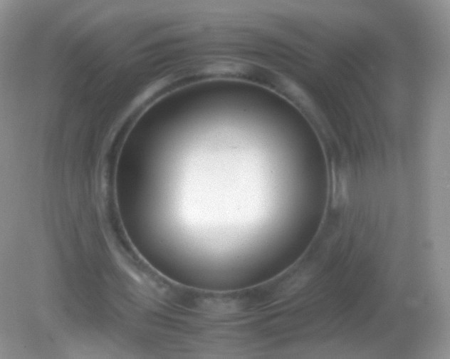 X0000082150435200701262312