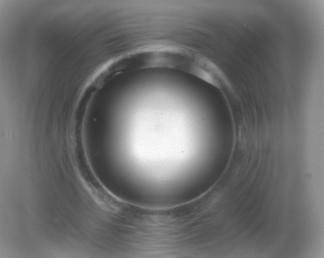 X0000082150436200701262312