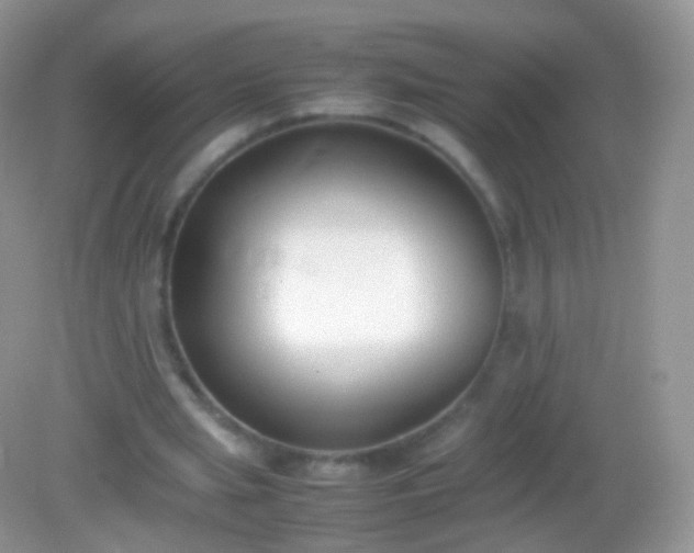 X0000082150437200701262312