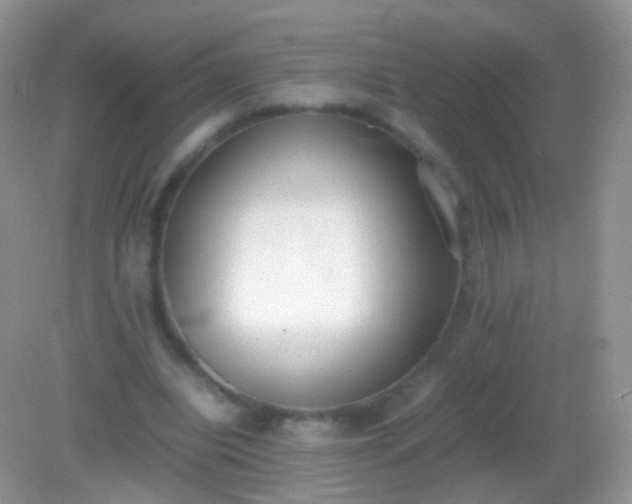 X0000082150440200701262312