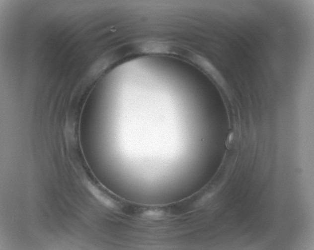 X0000082150441200701262312