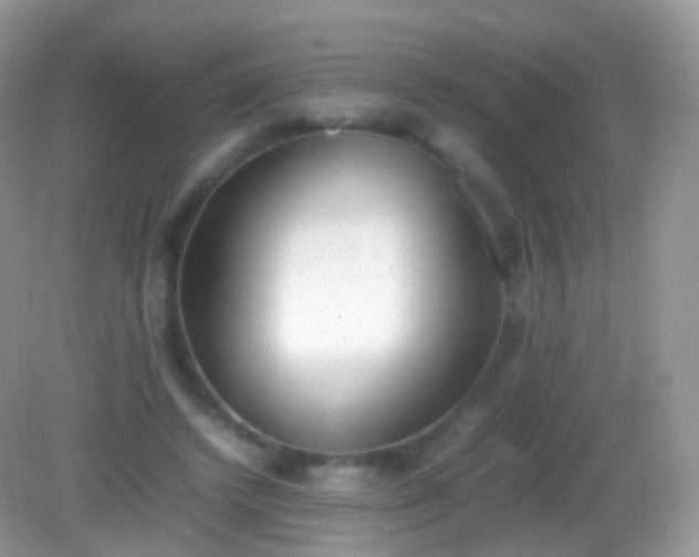 X0000082150448200701262312