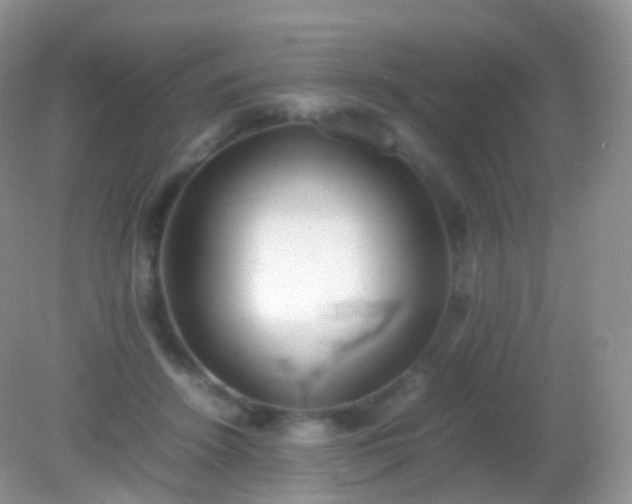 X0000082150456200701262313