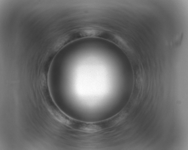 X0000082150459200701262313