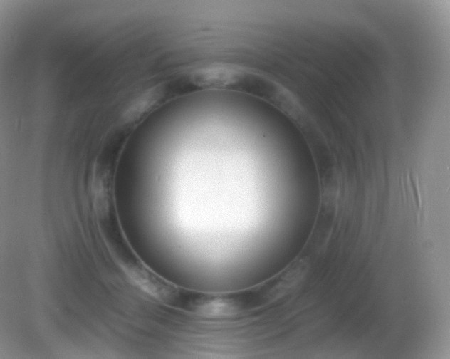 X0000082150460200701262313
