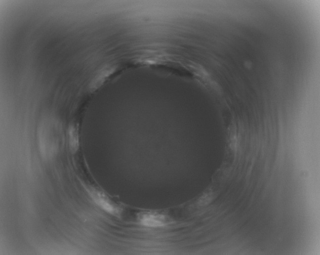 X0000082150471200701262313