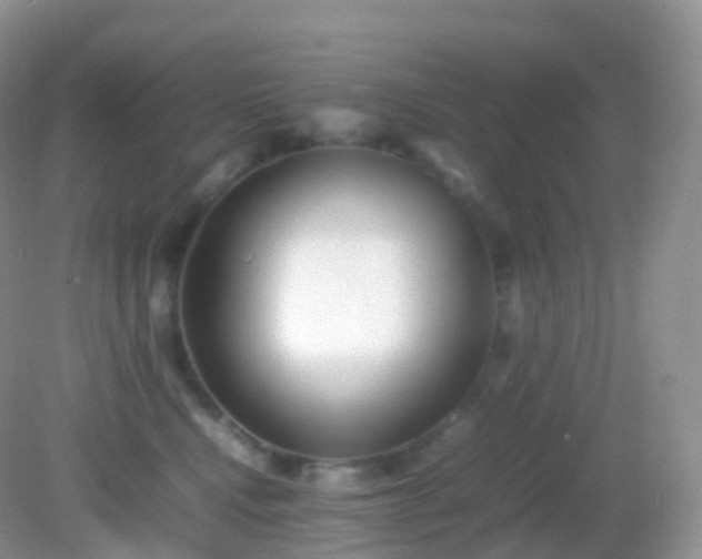 X0000082150472200701262313