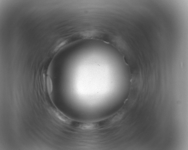 X0000082150479200701262313