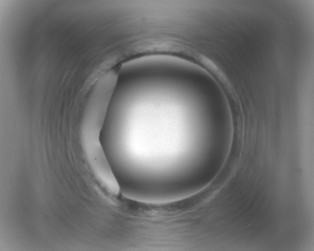 X0000082150481200701262312