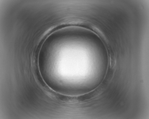 X0000082150483200701262312