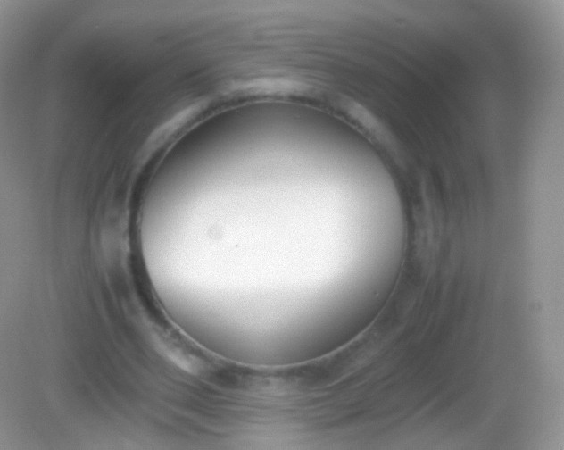 X0000082150486200701262312