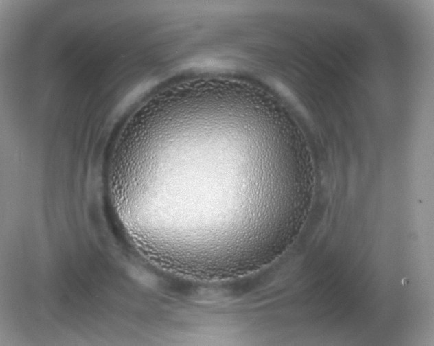 X0000082150487200701262312