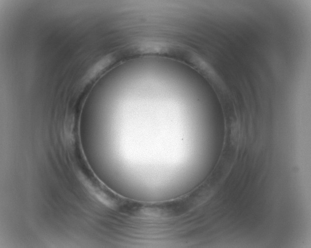 X0000082150490200701262312