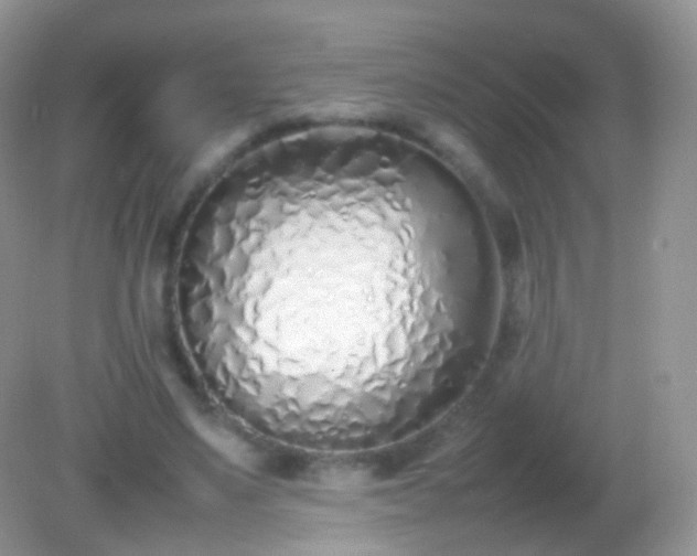 X0000082150491200701262312
