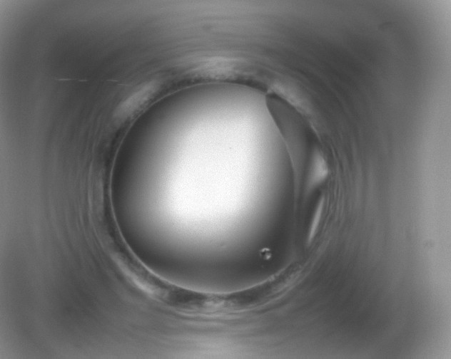 X0000082150493200701262312