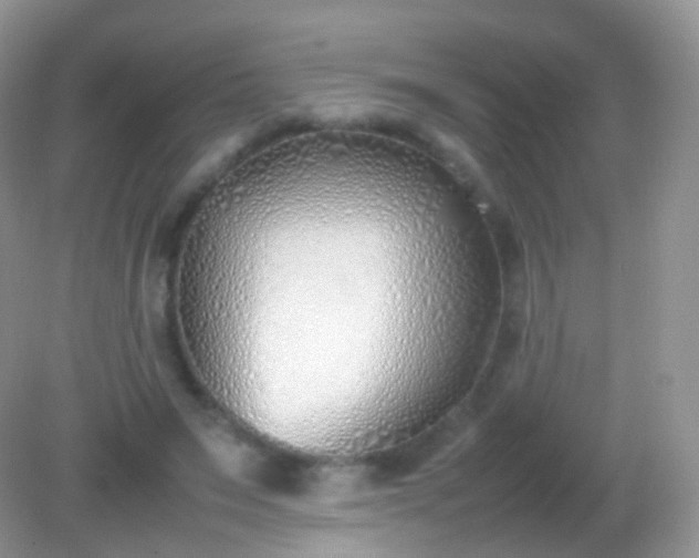 X0000082150495200701262312