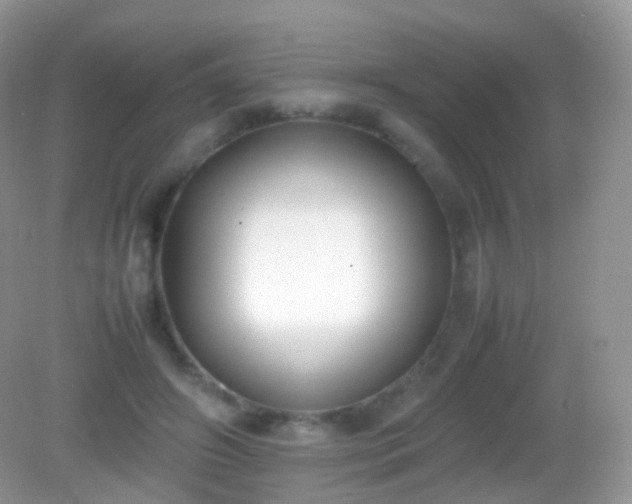 X0000082150498200701262312