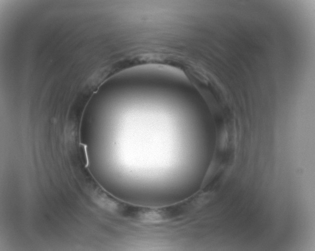 X0000082150513200701262312