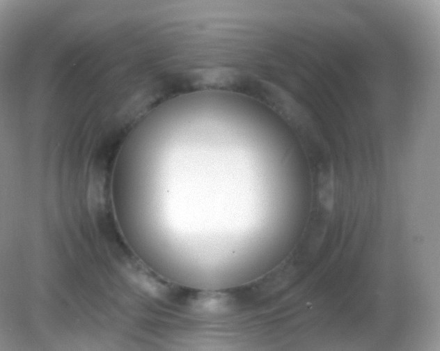X0000082150514200701262312