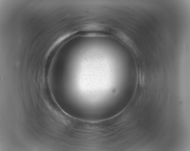X0000082150531200701262311
