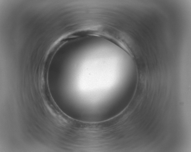 X0000082150532200701262311