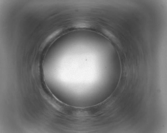 X0000082150535200701262311