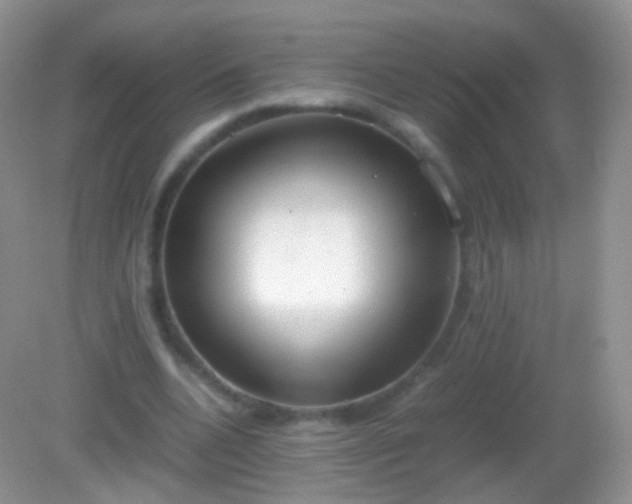 X0000082150536200701262311