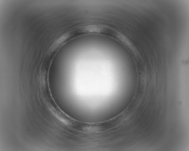 X0000082150537200701262311