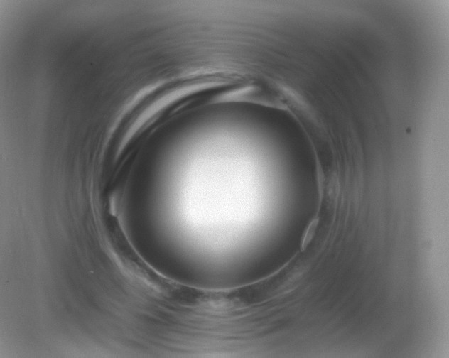 X0000082150540200701262311