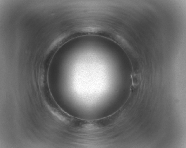 X0000082150544200701262311