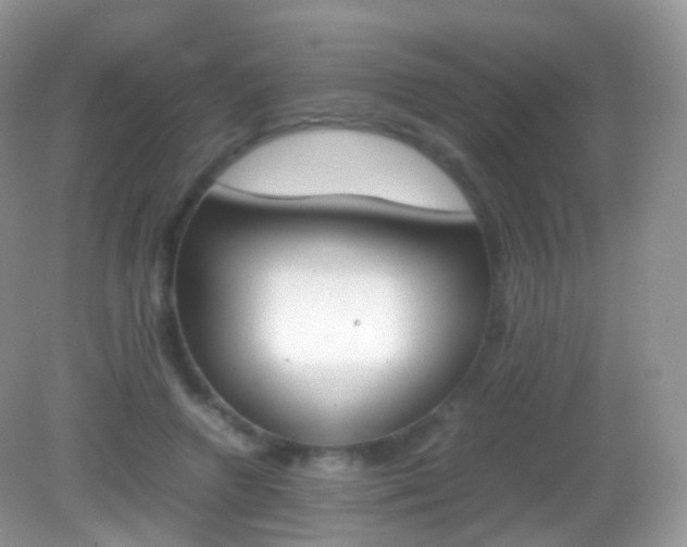 X0000082150546200701262311